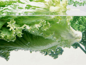 From Waxy Preservatives to E. Coli—Why It’s Vital to Wash Those Veggies and Fruits at Home