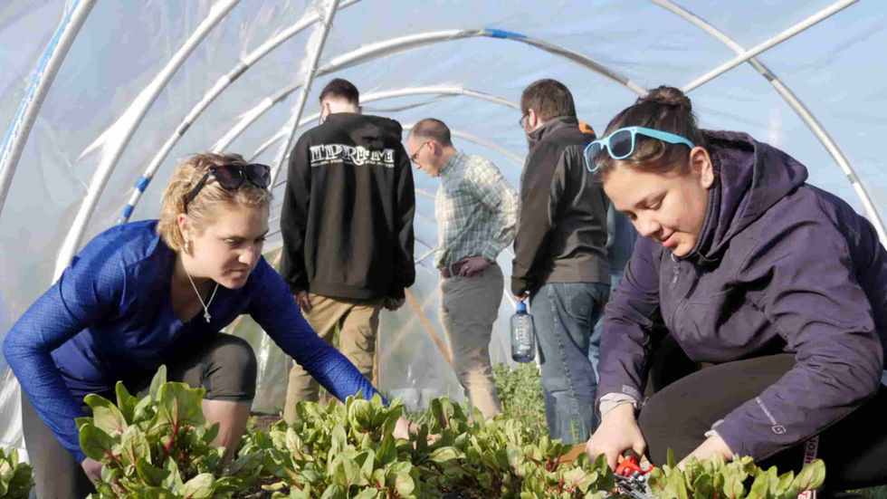 Princeton’s ‘Farminary’ Levels the Praying Field
