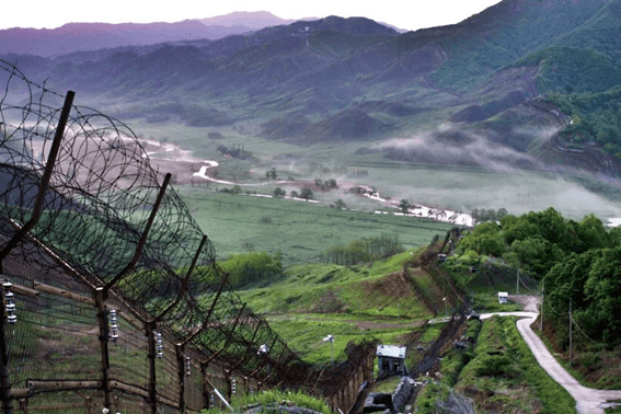 A section of the barbed wire barrier marking the southern border of the Korean Demilitarized Zone, a 248-kilometer-long (154 miles), 4-kilometer-wide (2.4 miles) strip cutting across the Korean Peninsula. Photo courtesy of Gyeonggi Provincial Government