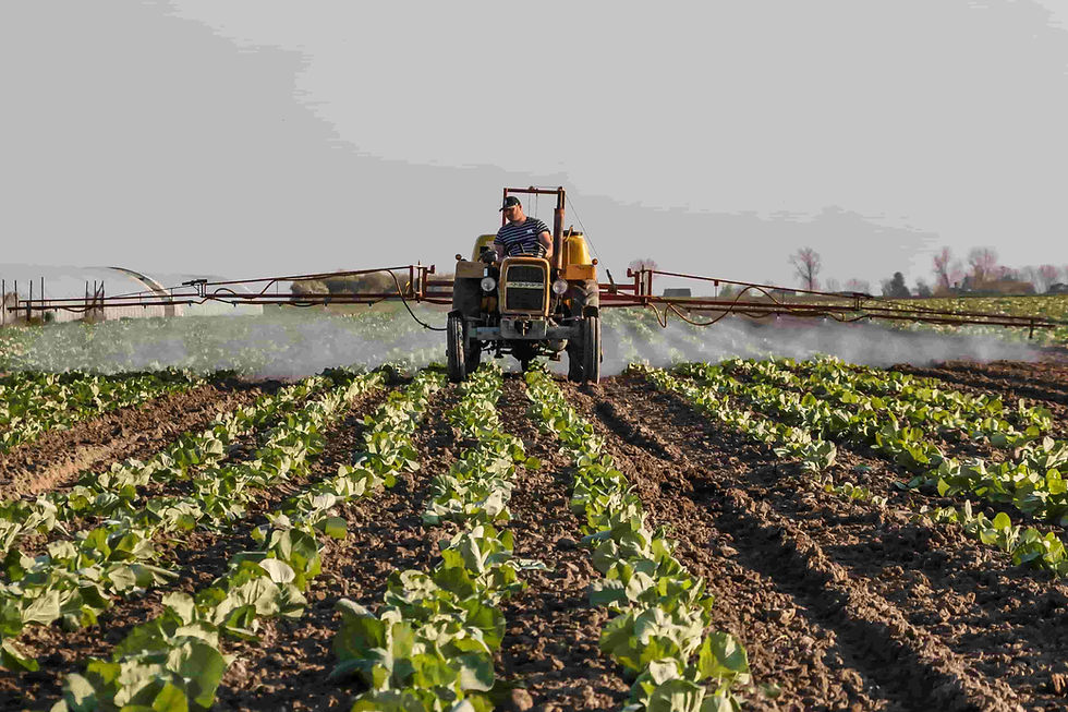 Pesticide Toxicity Is Increasing