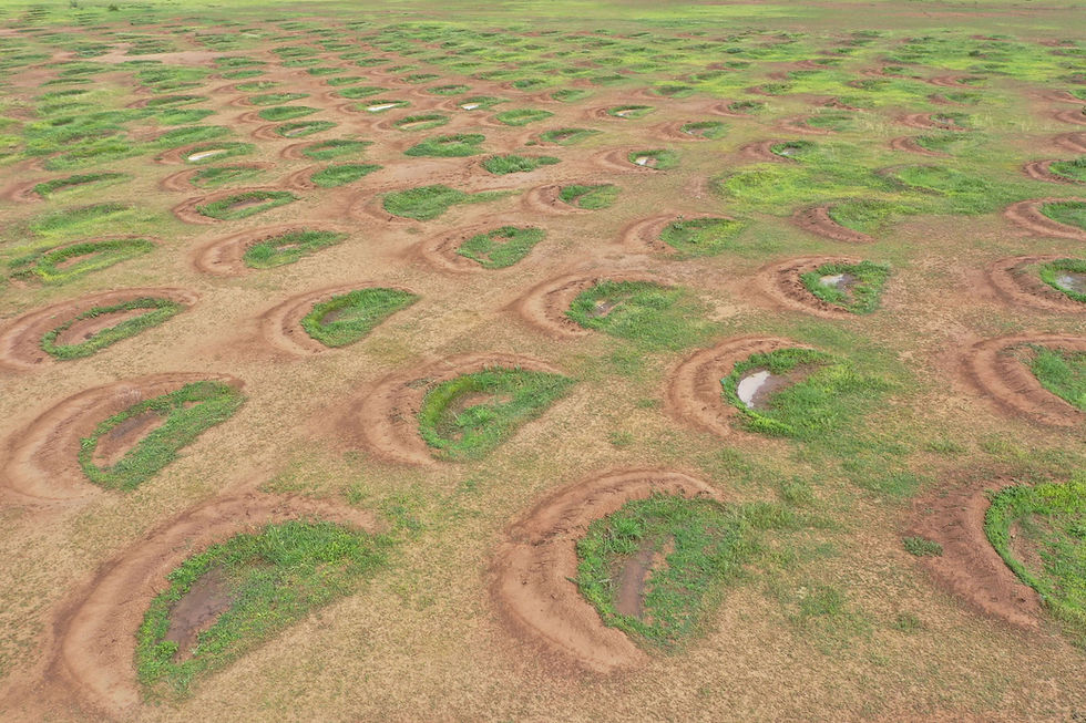 Water bunds bringing vegetation to Kenya’s drylands. ©Justdiggit