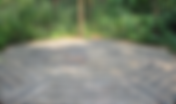 Seeking Alternative Treatments After the COVID-19 Lockdowns