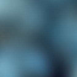 Supercold Algae Play Vital Role in Arctic Food Web