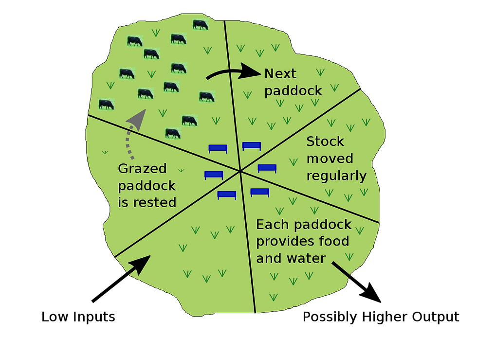 The multi-paddock grazing management system. ©Ian Alexander/Wikimedia (CC BY-SA 4.0)