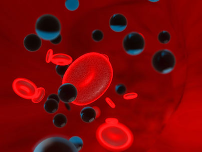 Microplastics Now Found in Human Blood