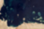 Coral reefs (in pale green) in the Persian Gulf in 2002. ©Image by Jesse Allen. NASA/Wikimedia. Public Domain