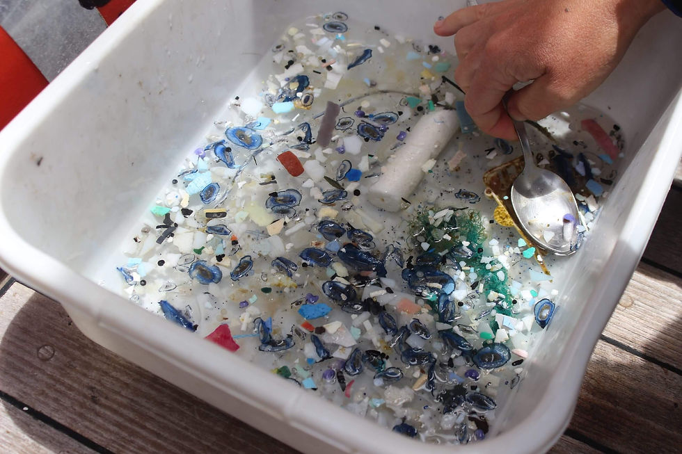 Spooning through plastics recovered from the ocean. ©SEA