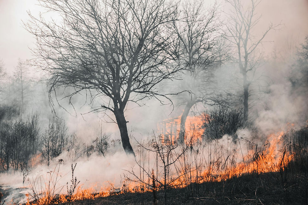 fire_smoke.jpeg