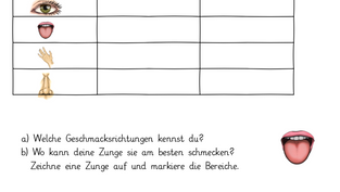 Meine Sinnesorgane - Überprüfe dein Wissen