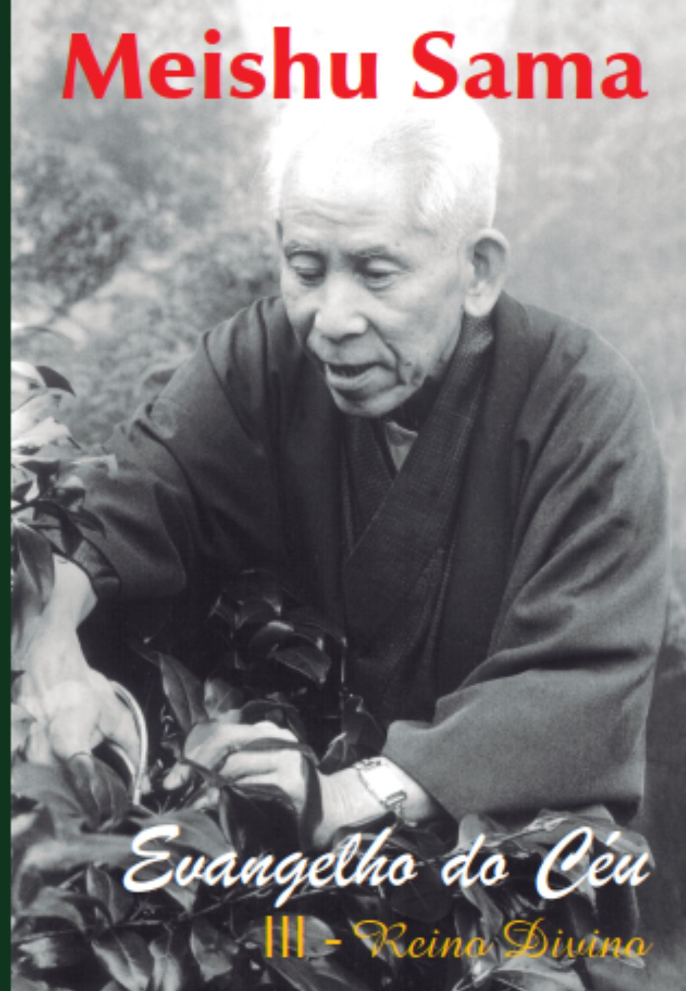 Evangelho do Céu, volume III – Reino Divino