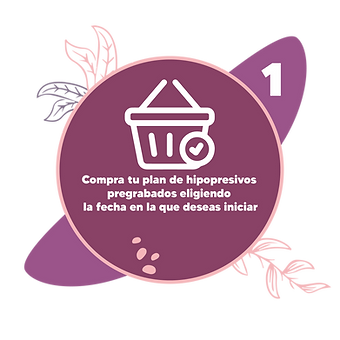2_Mesa de trabajo 1.png