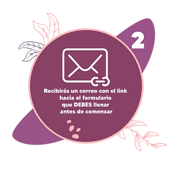 3_Mesa de trabajo 1.png