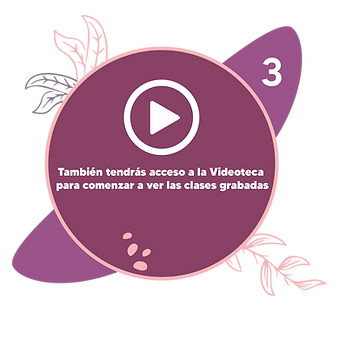 1_Mesa de trabajo 1.png