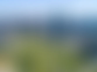 Tendencias en urbanismo y su impacto en la valorización de bienes raíces