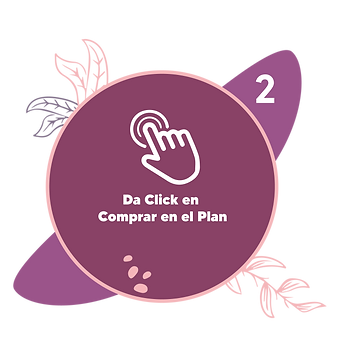 3_Mesa de trabajo 1.png