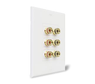 SpeakerSnap Wall Plates 24_edited.png