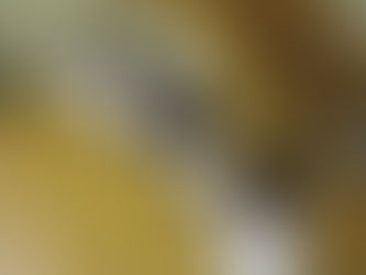 クリスマス発表会の練習 年中