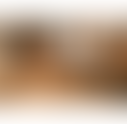 髭に悩んでいる方必見