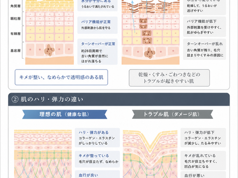 肌質改善にはなぜ継続が必要なのか?