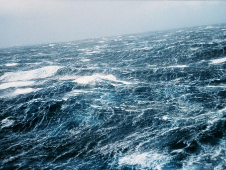 CUORI DA OCEANO