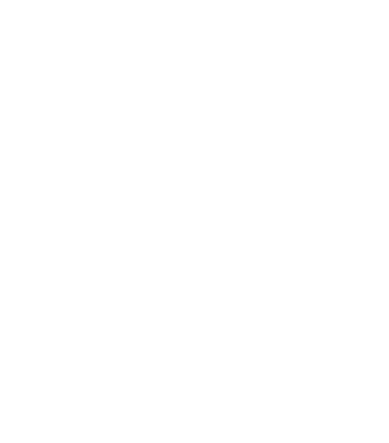 Stowaway Music Mobile Logo.png