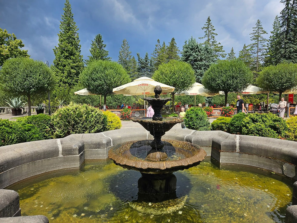 FB_IMG_1755619335457