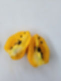 20250914_140856.jpg