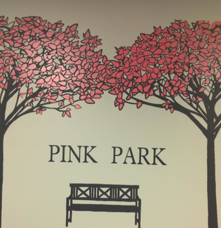 Pink Park