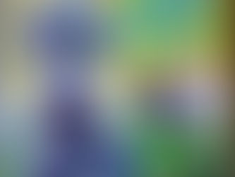 Hush `N Rush - Logis