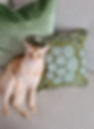 15 Cushions.jpg
