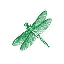 Dana De Ridder (5).png