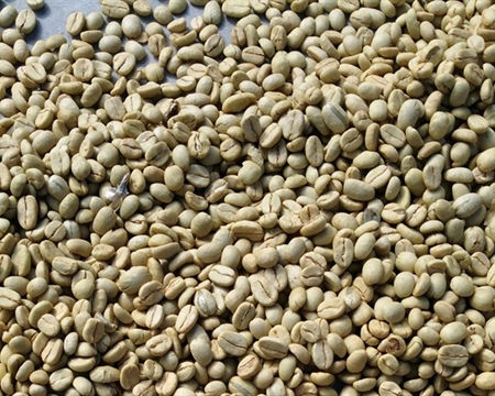Thumbnail: Organic Peru Norte