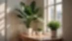 Eye-level view of a cozy corner with a small indoor plant and light-colored decor