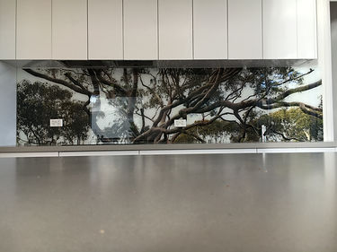 kitchen splashback with imagery