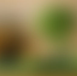 ストレッチが合わない日がある理由