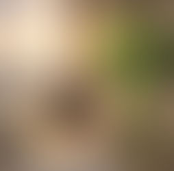 人に合わせる癖は、身体にどんな緊張を残すのか