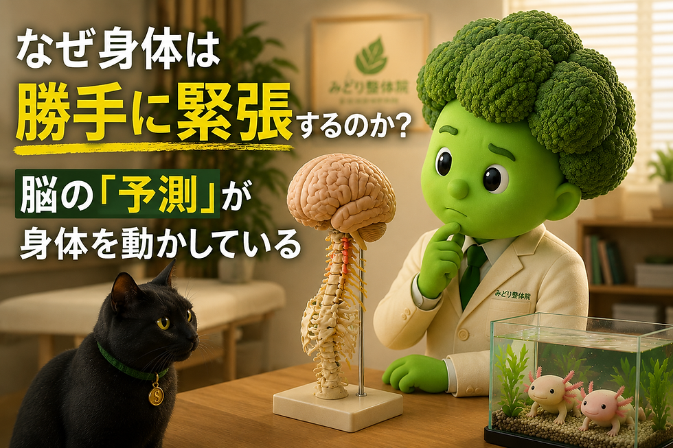 身体が勝手に緊張する仕組みを脳の予測という視点から解説するブロッコリー整体師とソクラのサムネイル