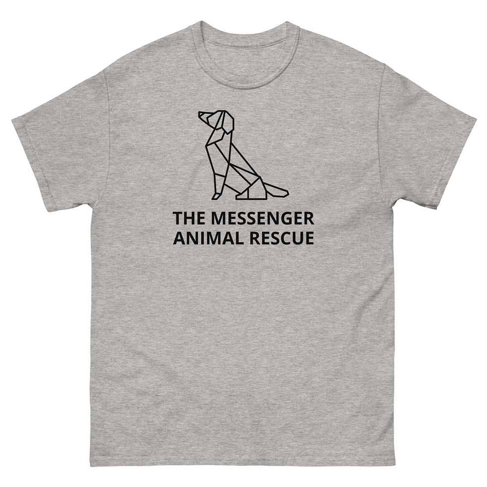 Thumbnail: Men's heavyweight tee 