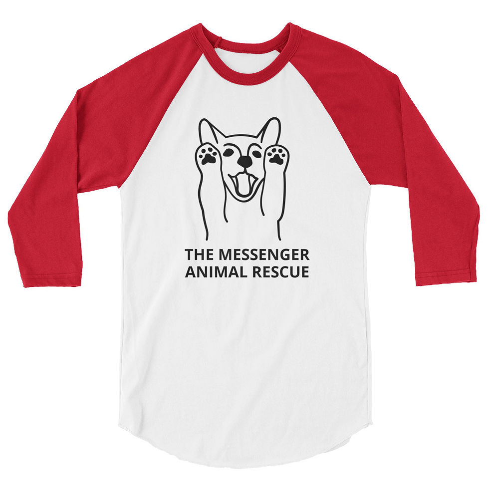 Thumbnail: 3/4 sleeve raglan shirt