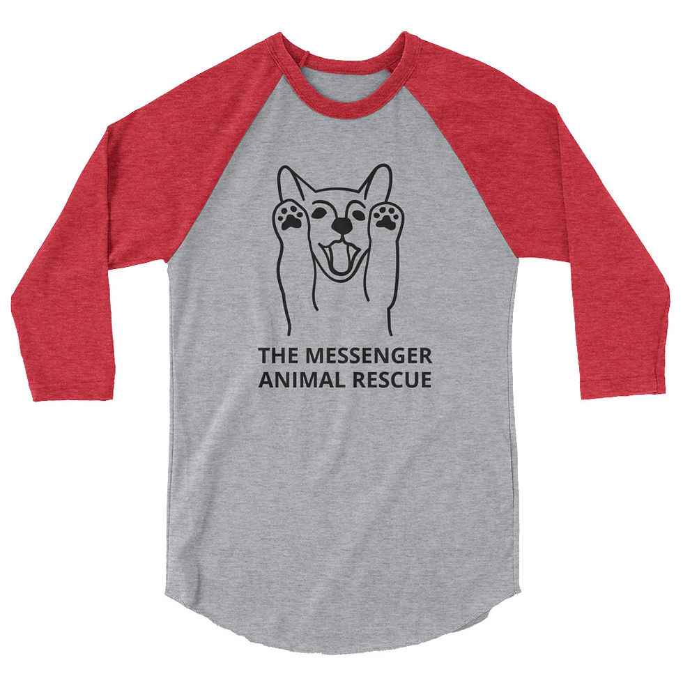 Thumbnail: 3/4 sleeve raglan shirt