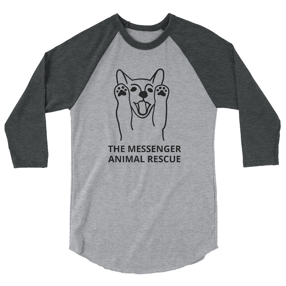 Thumbnail: 3/4 sleeve raglan shirt