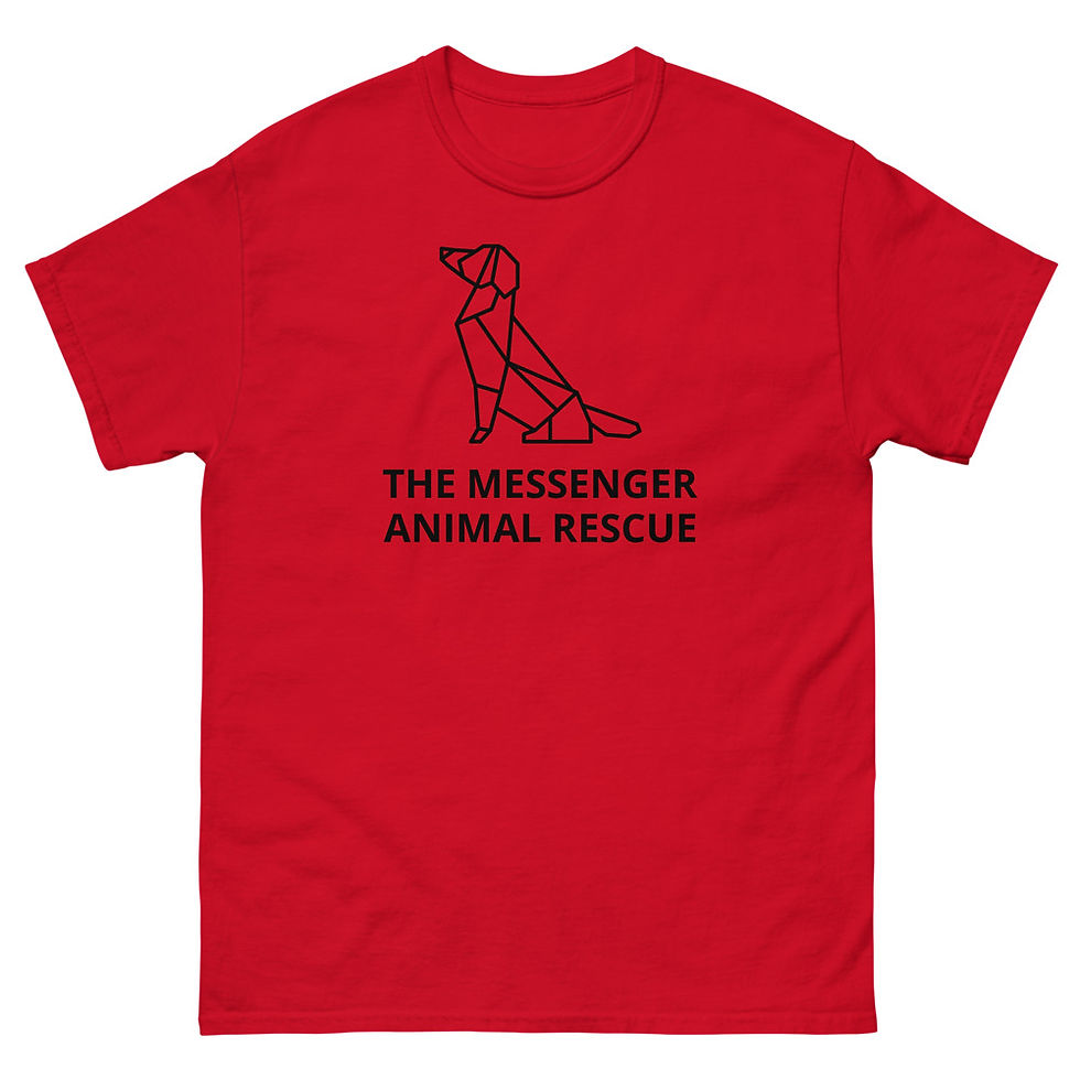 Thumbnail: Men's heavyweight tee 
