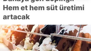 Öldürmek istedikleri hayvanların genlerini değiştir, insanın fıtratı değişsin ve hastalansın