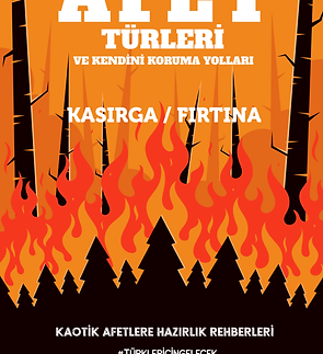 afet-turleri-ve-kendini-koruma-yollari-kasirga-firtina.png