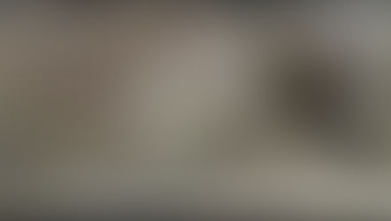 Koyunların dönmesi