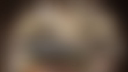 SÜRDÜRÜLEN ÇALIŞMALAR