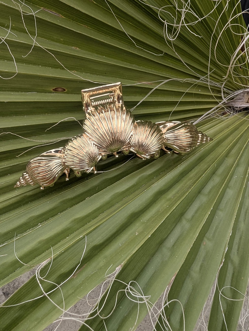 Pince à cheveux coquillages, superbe accessoire pour l'été Barrette dorée et différents types de coquillages