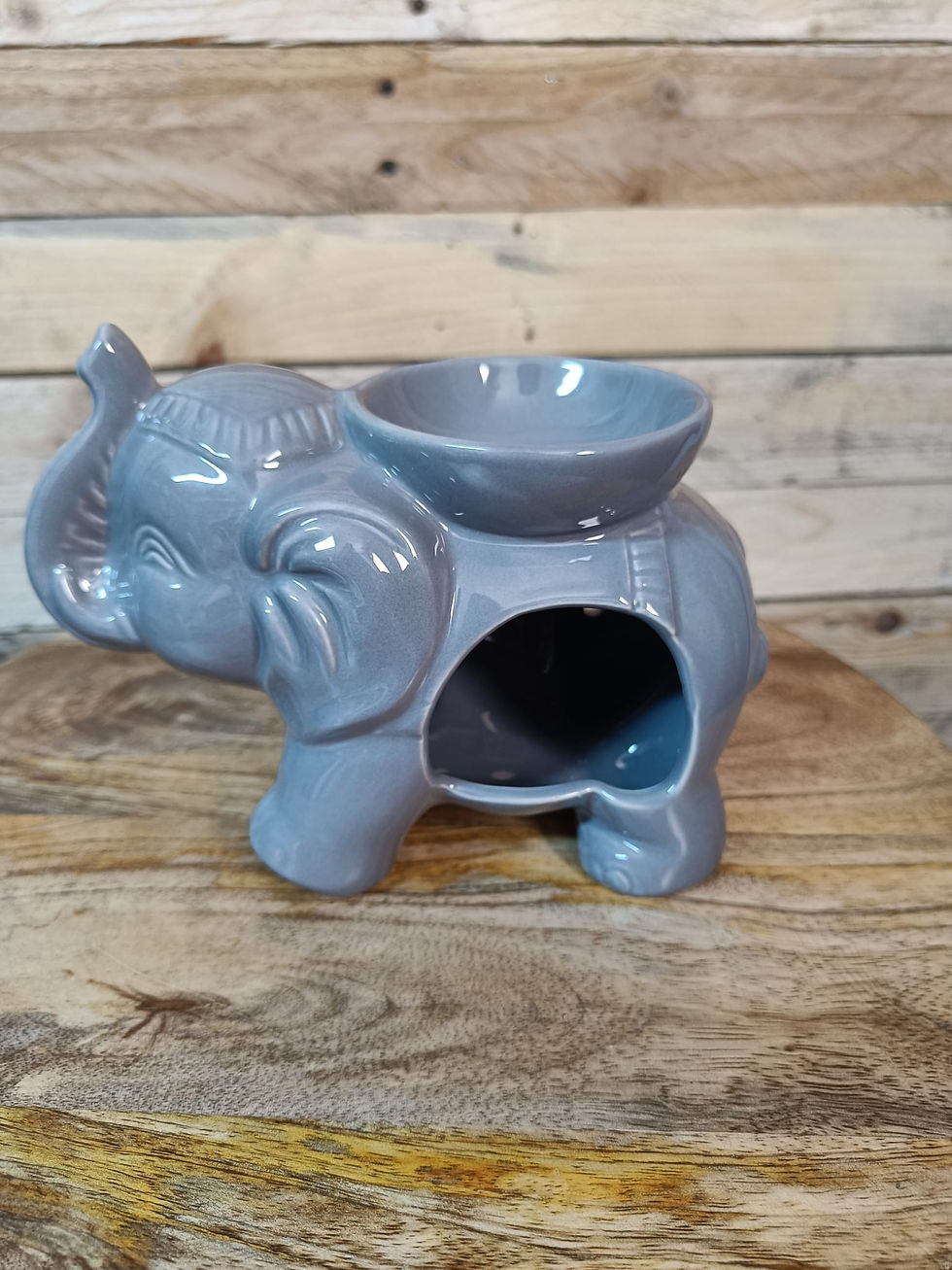 bruleur diffuseur élépgant huiles essentielles fondants