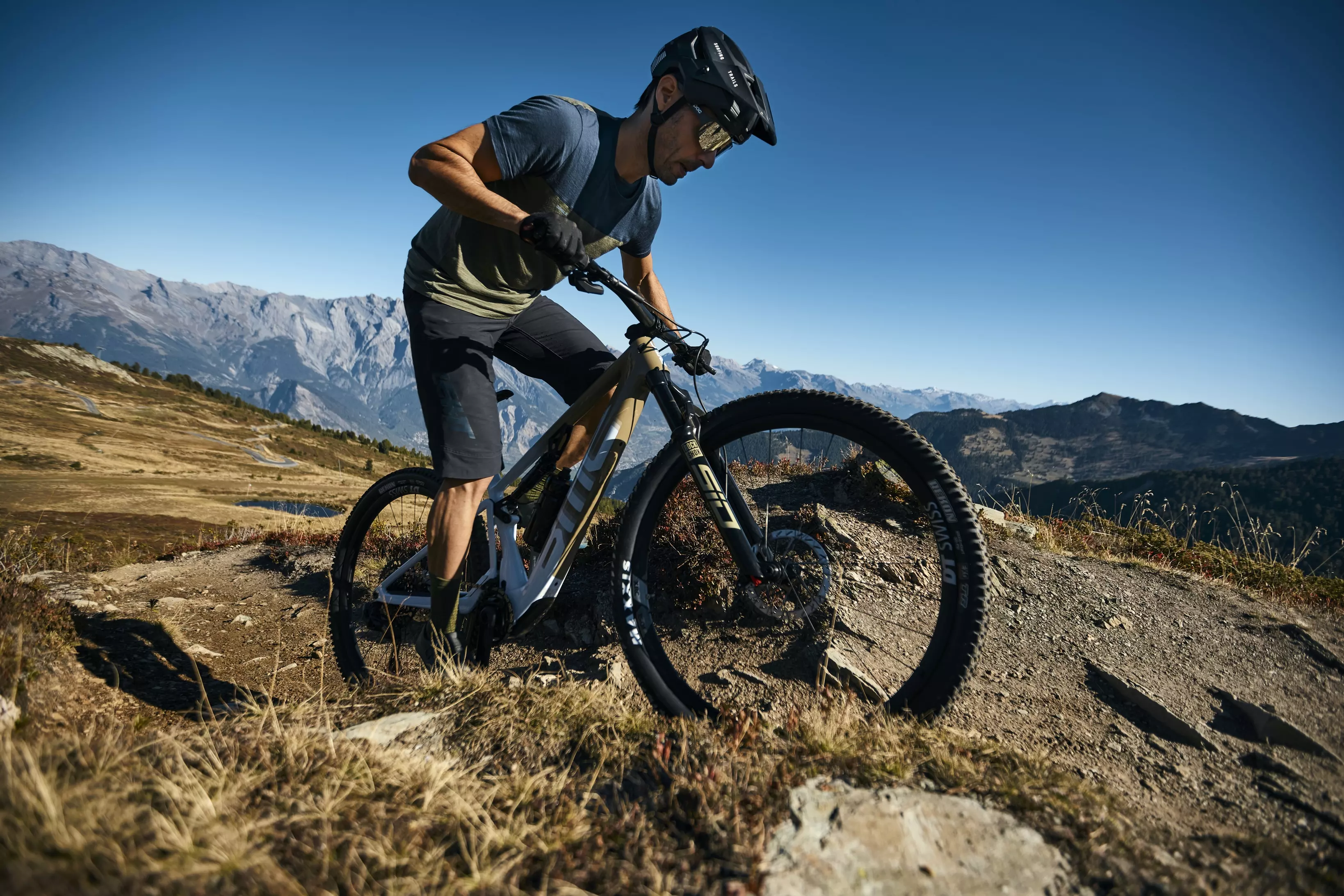 Aliados BMC.webp