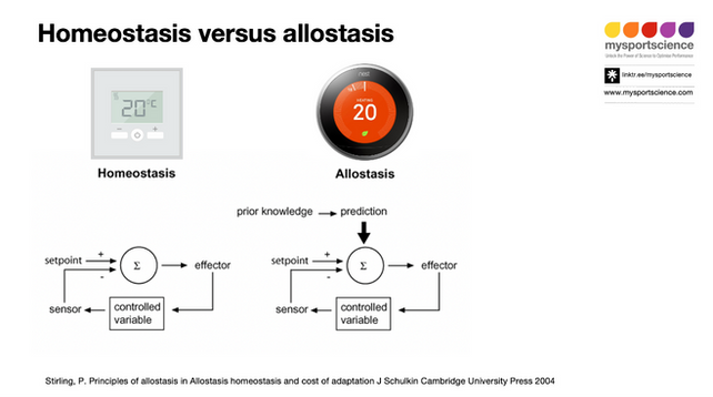 Why understanding allostasis is essential in elite sport